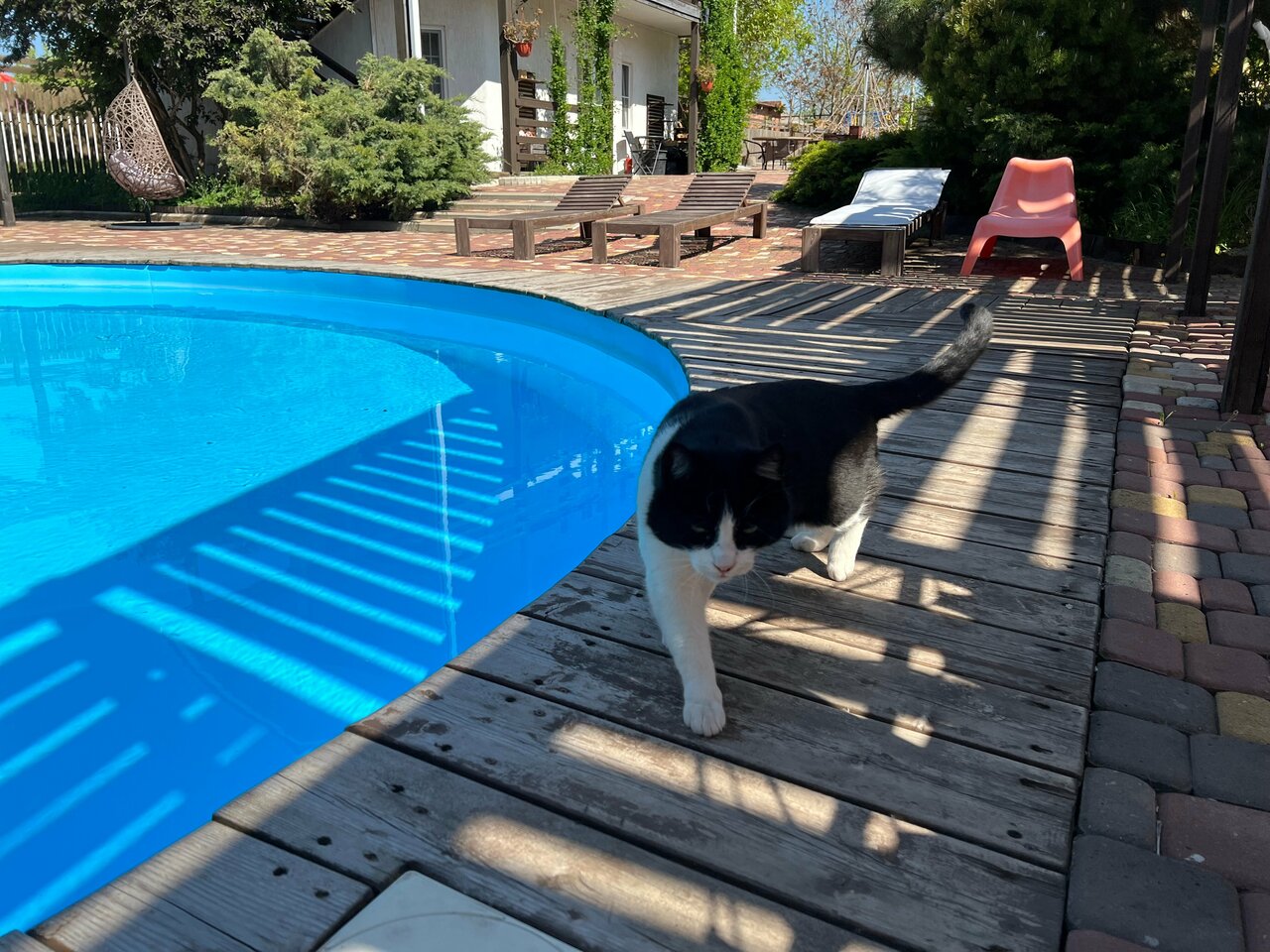 Гостиница Совы Должанская-127