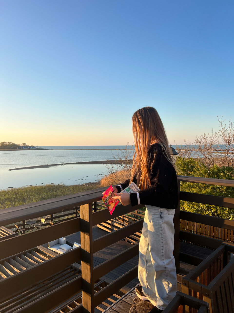 Гостиница Совы Должанская-119