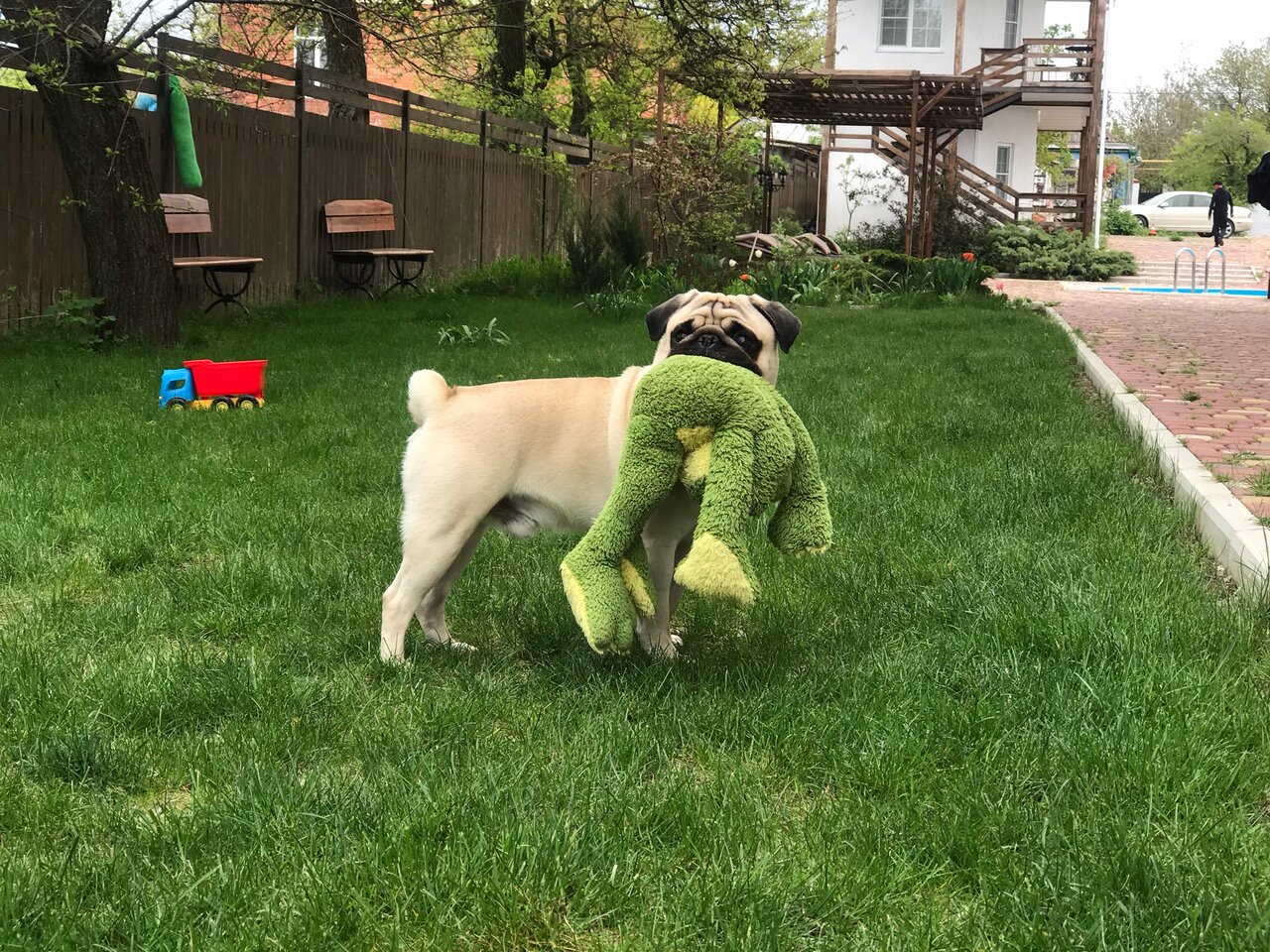 Гостиница Совы Должанская-36