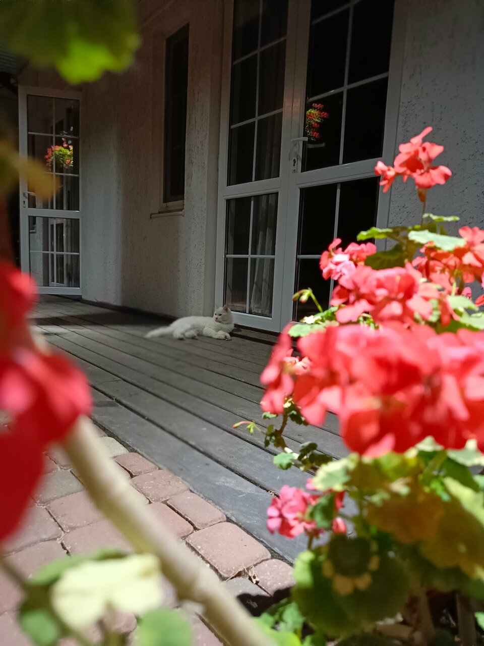 Гостиница Совы Должанская-124