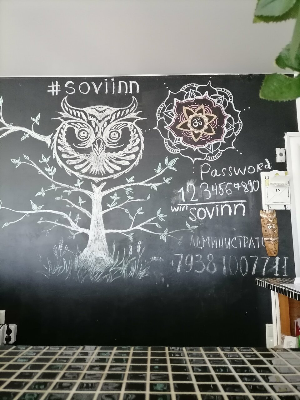 Гостиница Совы Должанская-109