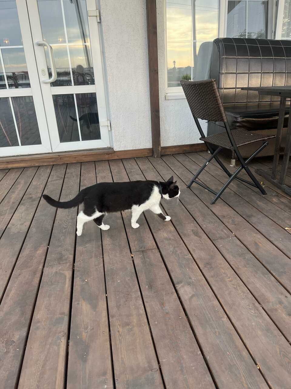 Гостиница Совы Должанская-229