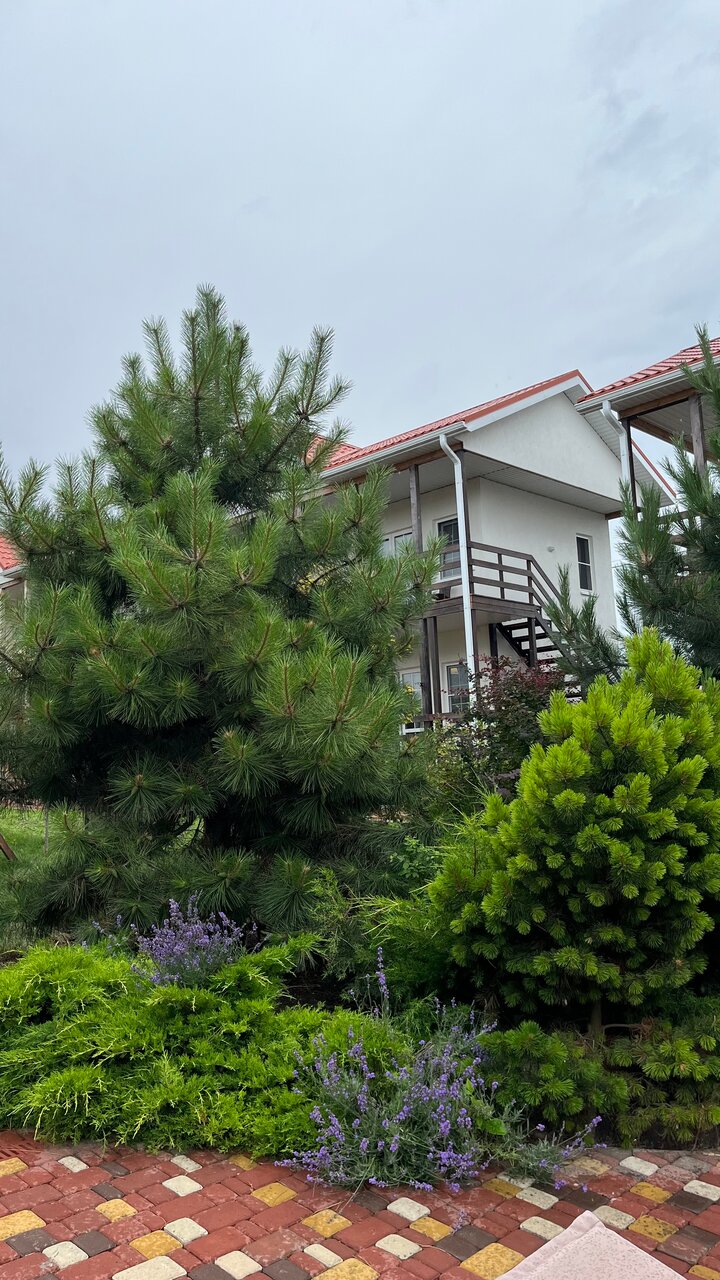 Гостиница Совы Должанская-40