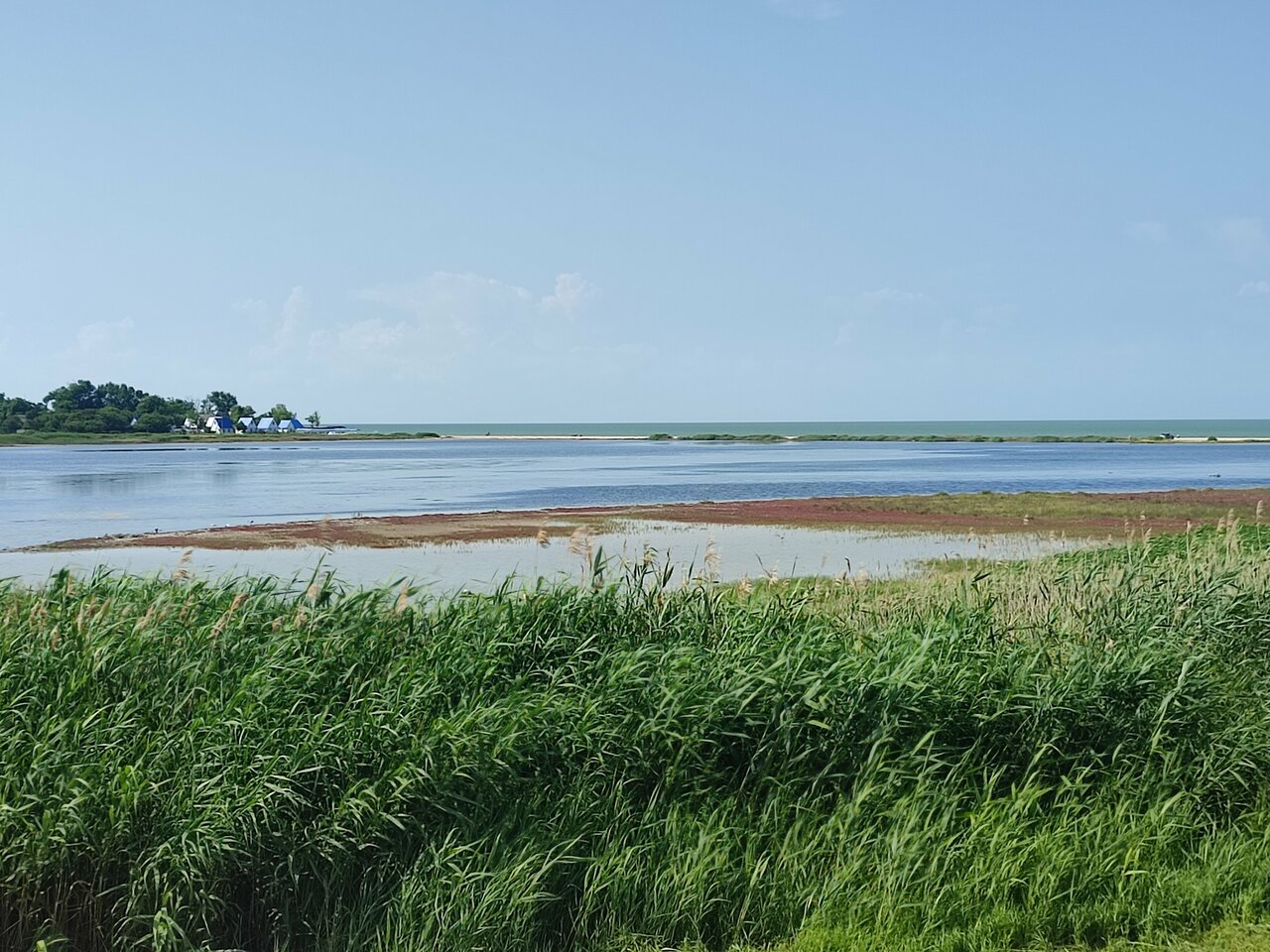 Гостиница Совы Должанская-195