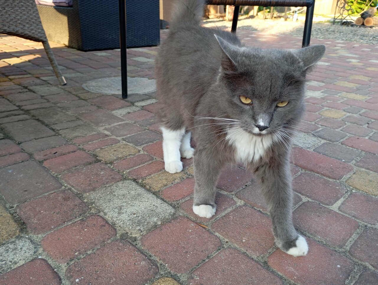 Гостиница Совы Должанская-108