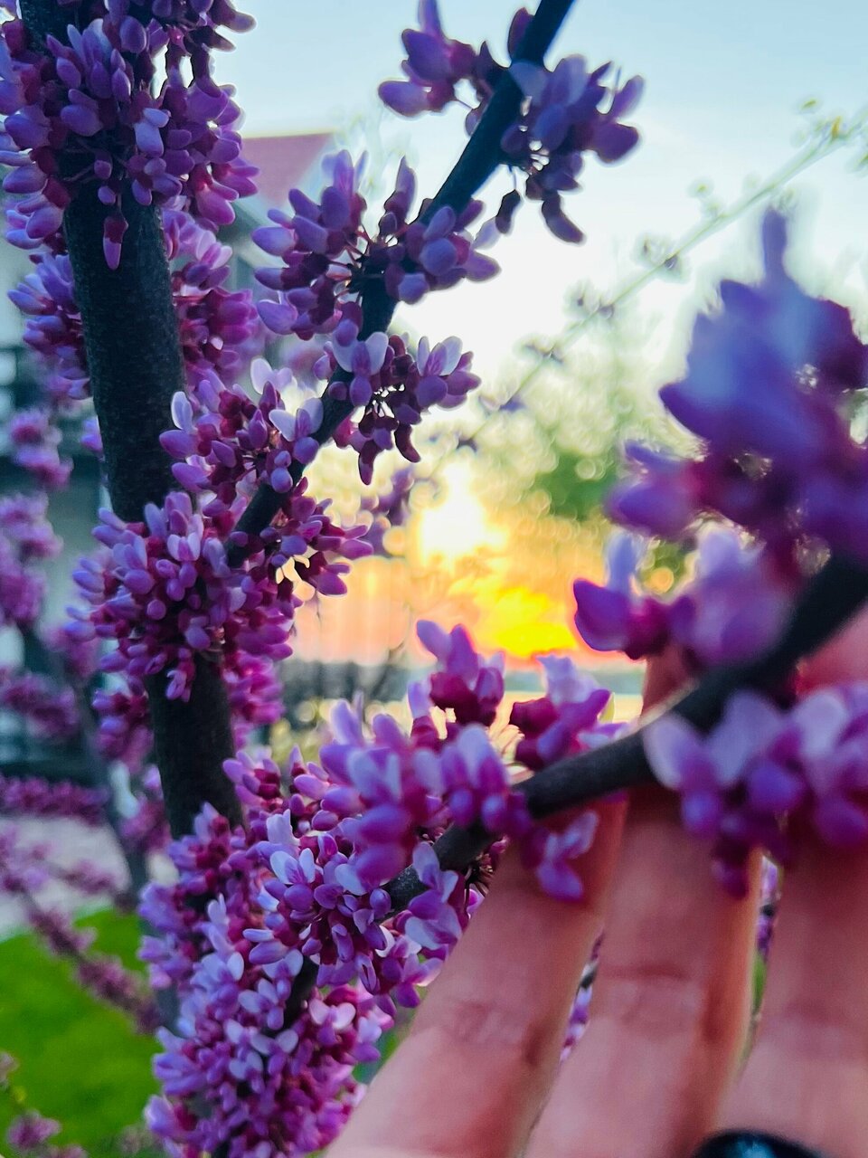 Гостиница Совы Должанская-114