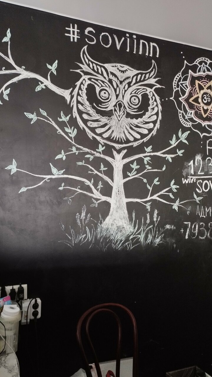 Гостиница Совы Должанская-172