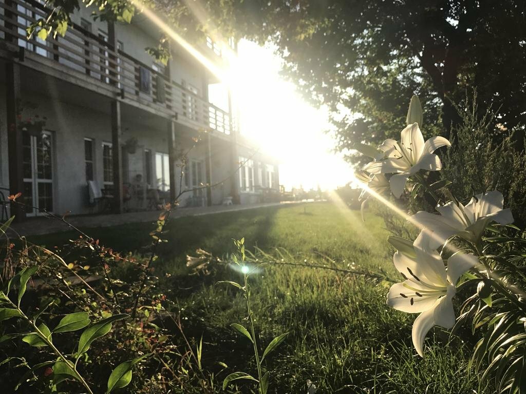 Гостиница Совы Должанская-87