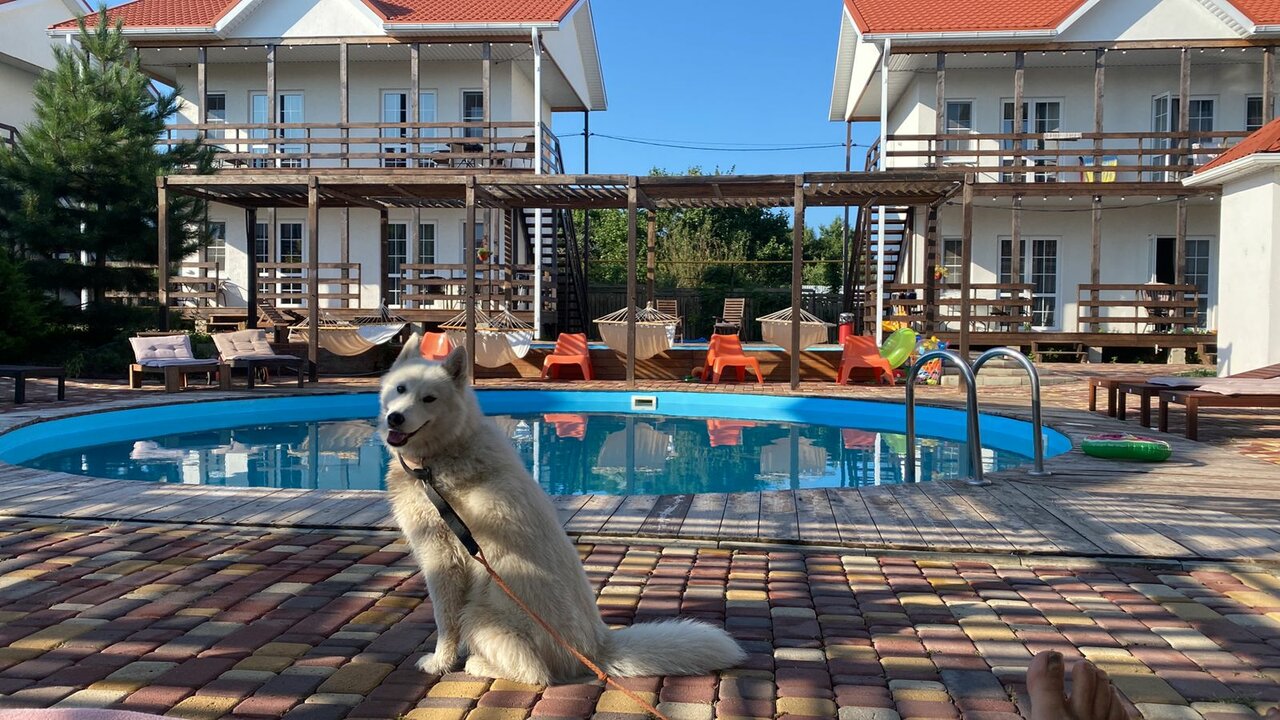 Гостиница Совы Должанская-47