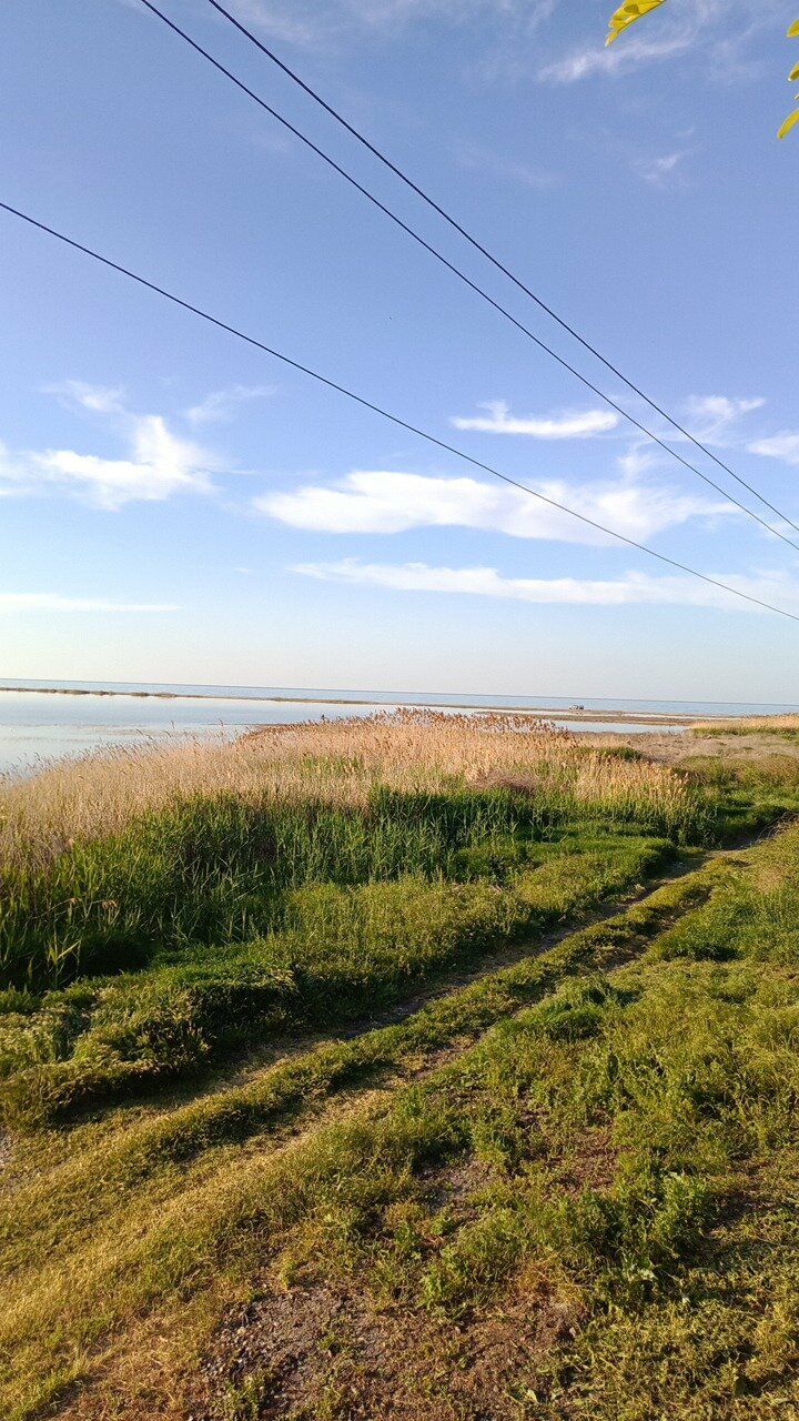 Гостиница Совы Должанская-242