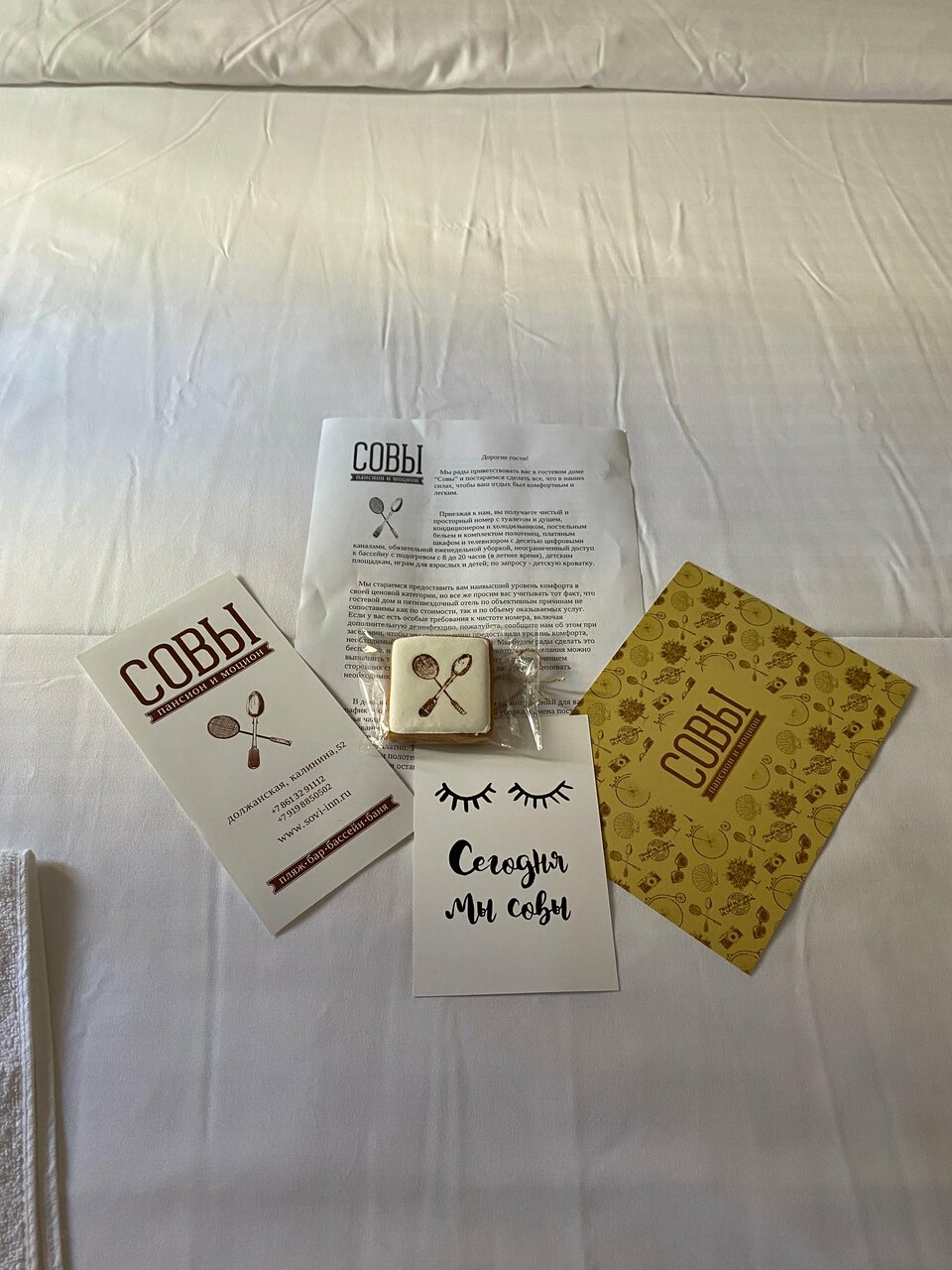 Гостиница Совы Должанская-200