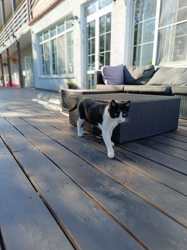 Гостиница Совы Должанская-151