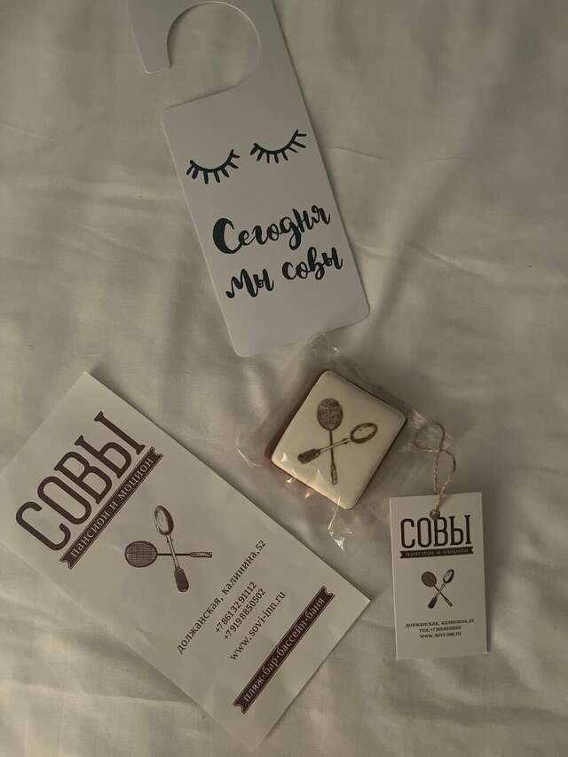 Гостиница Совы Должанская-161