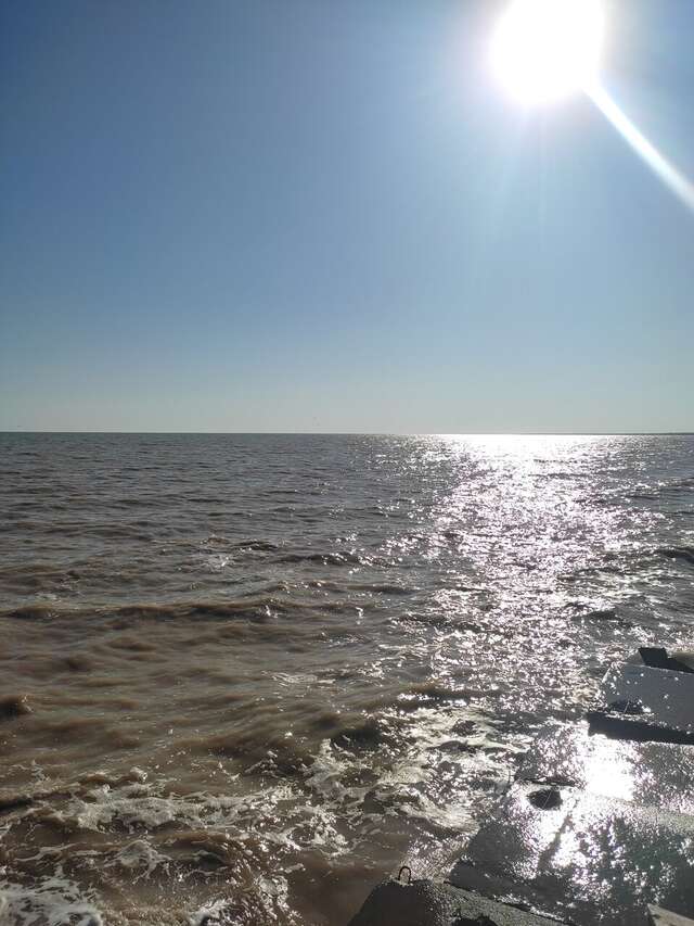 Гостиница Совы Должанская-66