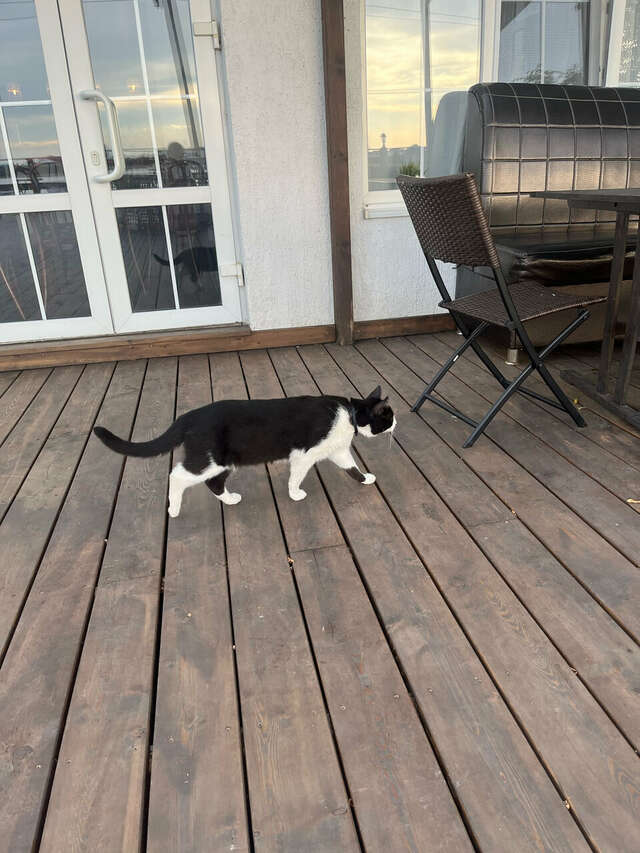 Гостиница Совы Должанская-228