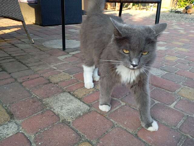 Гостиница Совы Должанская-107