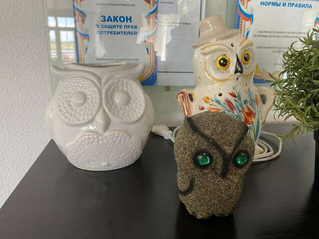 Гостиница Совы Должанская-103